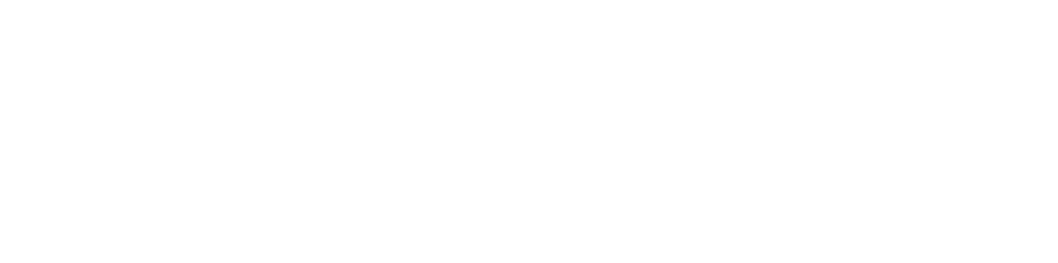 Vykon Transporte